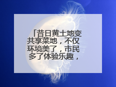 昔日黄土地变共享菜地，不仅环境美了，市民多了体验乐趣，村民还能增收