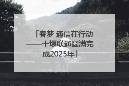 春梦 通信在行动——十堰联通圆满完成2025年