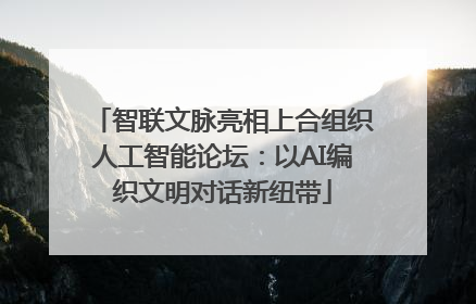 智联文脉亮相上合组织人工智能论坛：以AI编织文明对话新纽带
