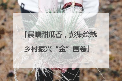 晨曦甜瓜香，彭集绘就乡村振兴“金”画卷