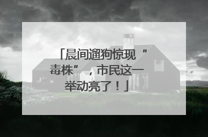 晨间遛狗惊现“毒株”，市民这一举动亮了！