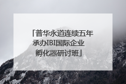 普华永道连续五年承办IBI国际企业孵化器研讨班