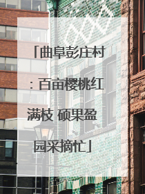 曲阜彭庄村：百亩樱桃红满枝 硕果盈园采摘忙
