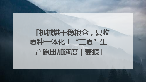 机械烘干稳粮仓，夏收夏种一体化！“三夏”生产跑出加速度｜麦报