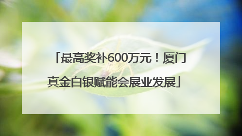 最高奖补600万元！厦门真金白银赋能会展业发展