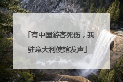 有中国游客死伤，我驻意大利使馆发声