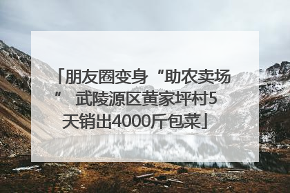 朋友圈变身“助农卖场” 武陵源区黄家坪村5天销出4000斤包菜