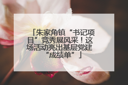 朱家角镇“书记项目”竞秀展风采！这场活动亮出基层党建“成绩单”