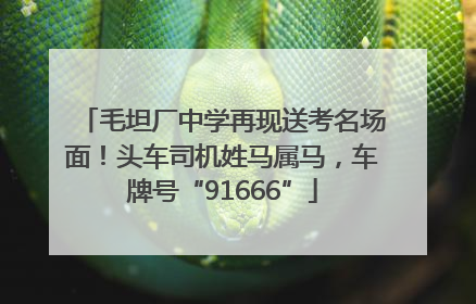 毛坦厂中学再现送考名场面！头车司机姓马属马，车牌号“91666”