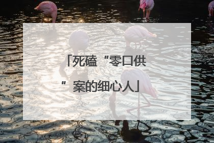 死磕“零口供”案的细心人