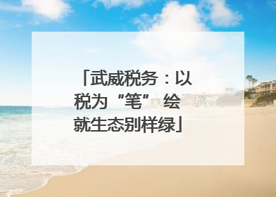 武威税务：以税为“笔” 绘就生态别样绿