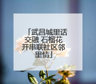 武昌城里话交融 石榴花开串联社区邻里情