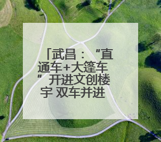 武昌：“直通车+大篷车”开进文创楼宇 双车并进惠企便民