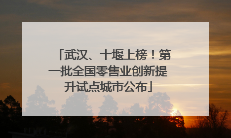 武汉、十堰上榜！第一批全国零售业创新提升试点城市公布