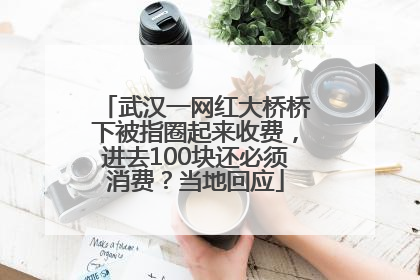 武汉一网红大桥桥下被指圈起来收费，进去100块还必须消费？当地回应