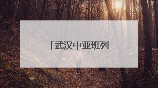 武汉中亚班列一年开行量同比增长72%