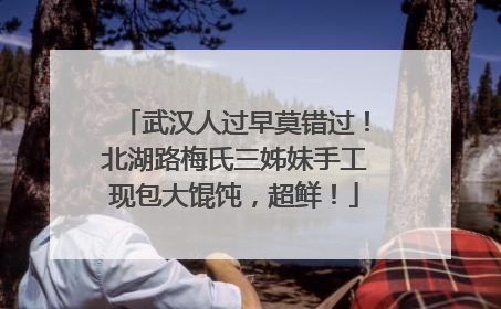 武汉人过早莫错过！北湖路梅氏三姊妹手工现包大馄饨，超鲜！
