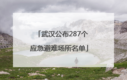 武汉公布287个应急避难场所名单