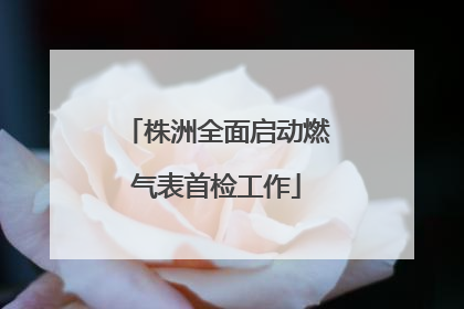 株洲全面启动燃气表首检工作