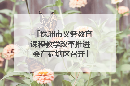 株洲市义务教育课程教学改革推进会在荷塘区召开