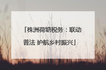 株洲荷塘税务：联动普法 护航乡村振兴