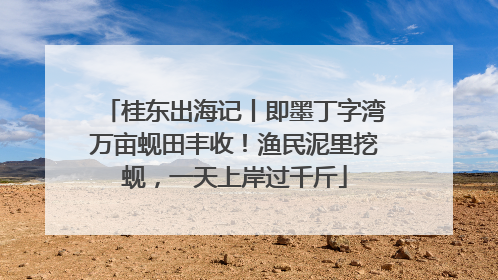 桂东出海记丨即墨丁字湾万亩蚬田丰收！渔民泥里挖蚬，一天上岸过千斤