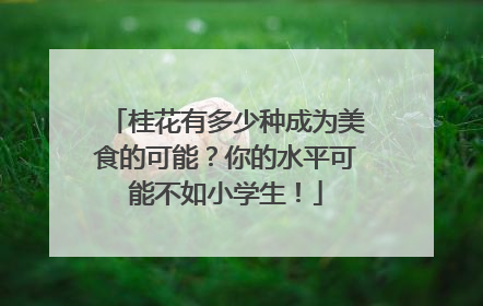 桂花有多少种成为美食的可能？你的水平可能不如小学生！