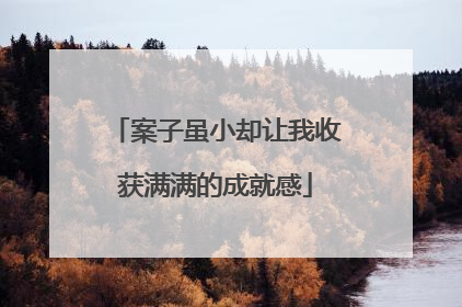 案子虽小却让我收获满满的成就感