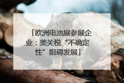 欧洲电池展参展企业：美关税“不确定性”阻碍发展