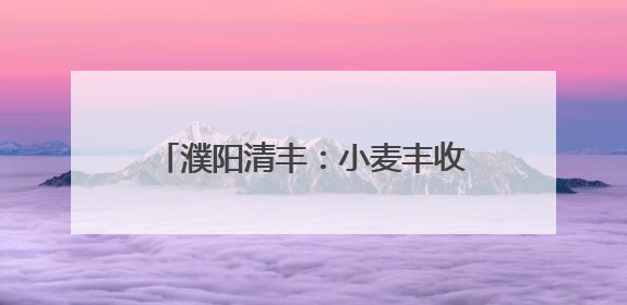 濮阳清丰：小麦丰收季 “一条龙”作业开启农业高效新篇章