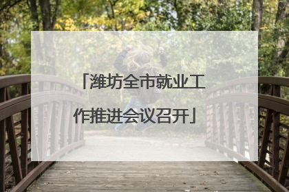 潍坊全市就业工作推进会议召开