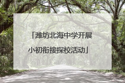潍坊北海中学开展小初衔接探校活动