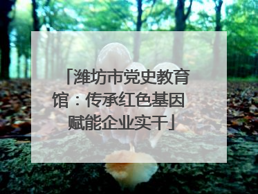 潍坊市党史教育馆：传承红色基因 赋能企业实干
