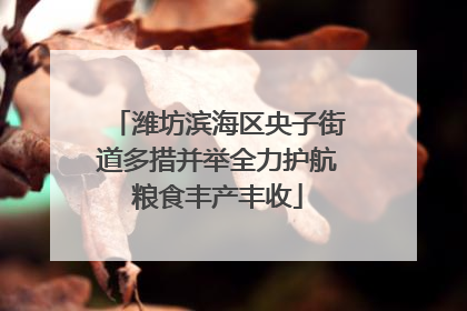 潍坊滨海区央子街道多措并举全力护航粮食丰产丰收