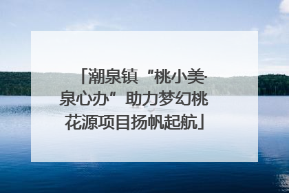 潮泉镇“桃小美·泉心办”助力梦幻桃花源项目扬帆起航
