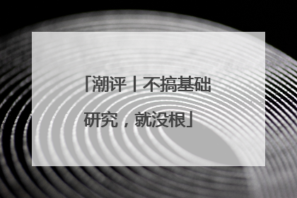 潮评丨不搞基础研究，就没根