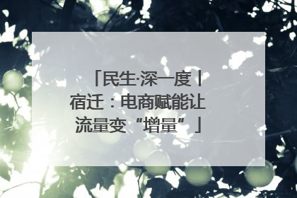 民生·深一度丨宿迁：电商赋能让流量变“增量”