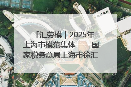 汇劳模｜2025年上海市模范集体——国家税务总局上海市徐汇区税务局第一税务所