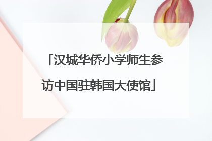 汉城华侨小学师生参访中国驻韩国大使馆