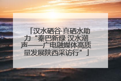 汉水硒谷·真硒水助力“秦巴新绿 汉水潮声——广电融媒体高质量发展陕西采访行”