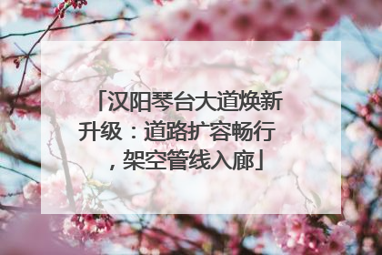 汉阳琴台大道焕新升级：道路扩容畅行，架空管线入廊