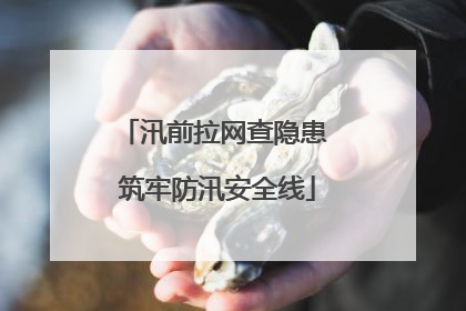 汛前拉网查隐患 筑牢防汛安全线