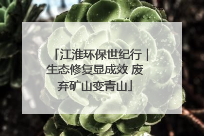 江淮环保世纪行｜生态修复显成效 废弃矿山变青山