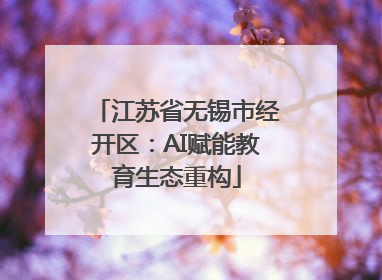 江苏省无锡市经开区：AI赋能教育生态重构