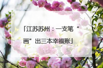江苏苏州：一支笔“画”出三本幸福账