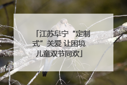 江苏阜宁“定制式”关爱 让困境儿童双节同欢