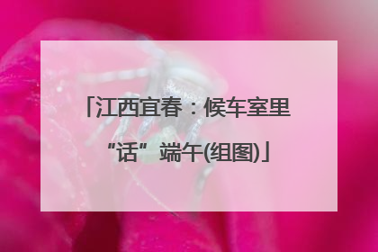 江西宜春：候车室里“话”端午(组图)