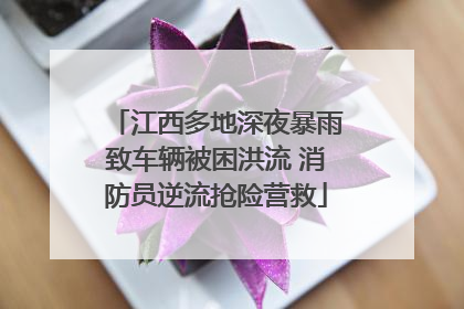 江西多地深夜暴雨致车辆被困洪流 消防员逆流抢险营救