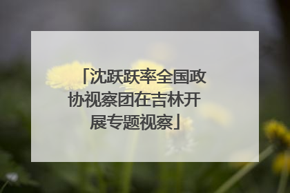 沈跃跃率全国政协视察团在吉林开展专题视察