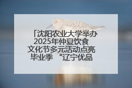 沈阳农业大学举办2025年仲夏饮食文化节多元活动点亮毕业季 “辽宁优品”进校园首站启动